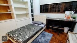 The Tanamera (D16), Condominium #554622021